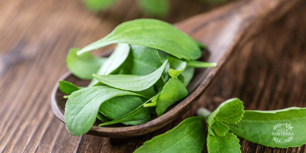 Cómo la stevia líquida puede ser utilizada para reducir el consumo de carbohidratos simples en la dieta diabética