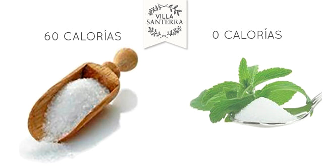 Equivalencia entre Stevia Líquida y Azúcar de Caña