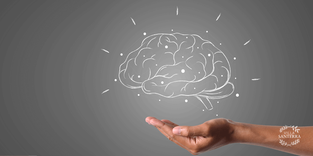 La stevia líquida y sus beneficios para la salud dental