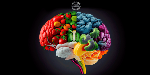 Alimentación para un cerebro sano: Alimentos que potencian tu memoria y concentración.