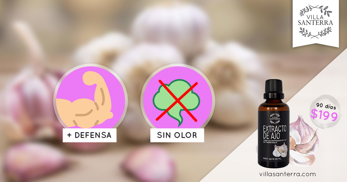 Ajo sin mal olor