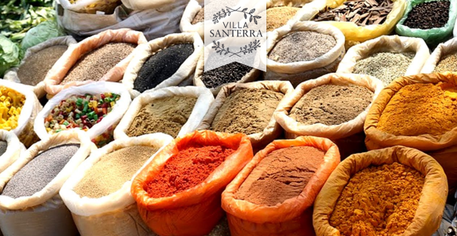 9 Plantas y Remedios Naturales para tu Salud
