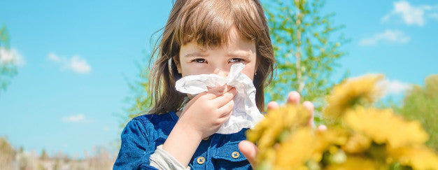 Cúrcuma para tratar alergias y sinusitis