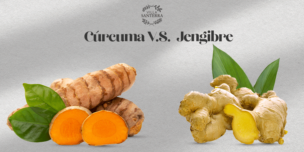 Cúrcuma vs. jengibre: ¿Cuál es mejor para combatir la inflamación?