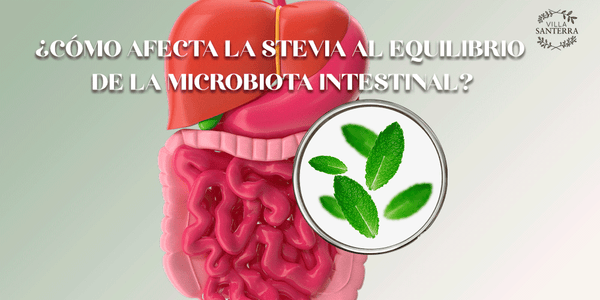 ¿Cómo afecta la Stevia al equilibrio de la microbiota intestinal?