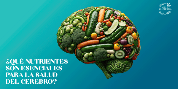 ¿Qué nutrientes son esenciales para la salud del cerebro?