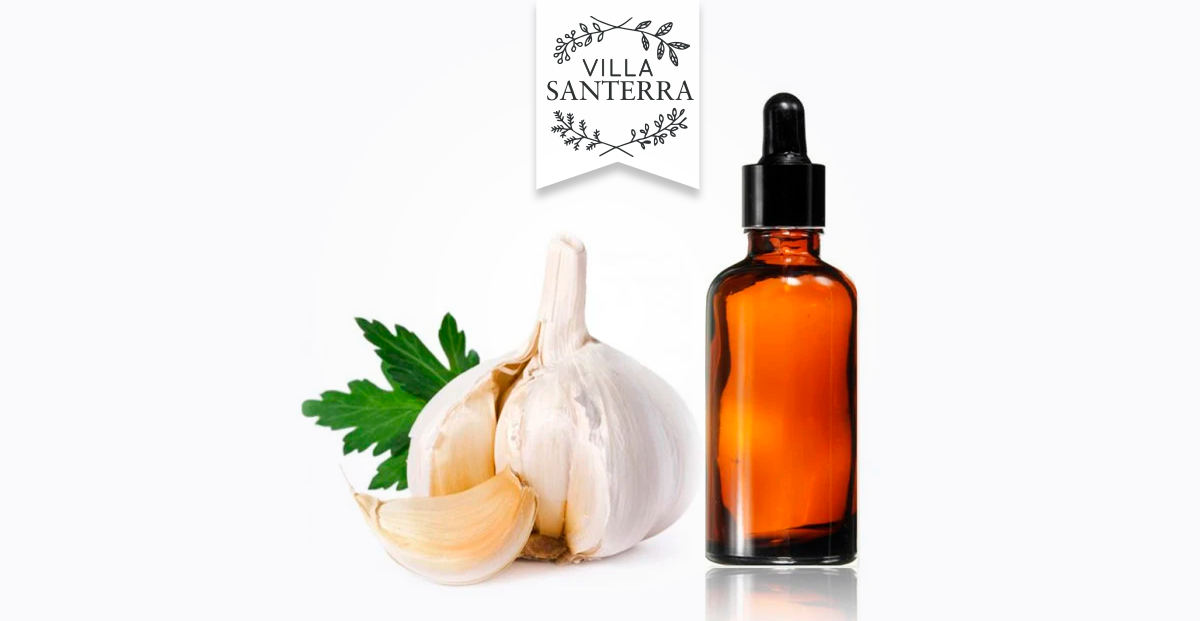 ¿Cómo hacer tintura o extracto de ajo?