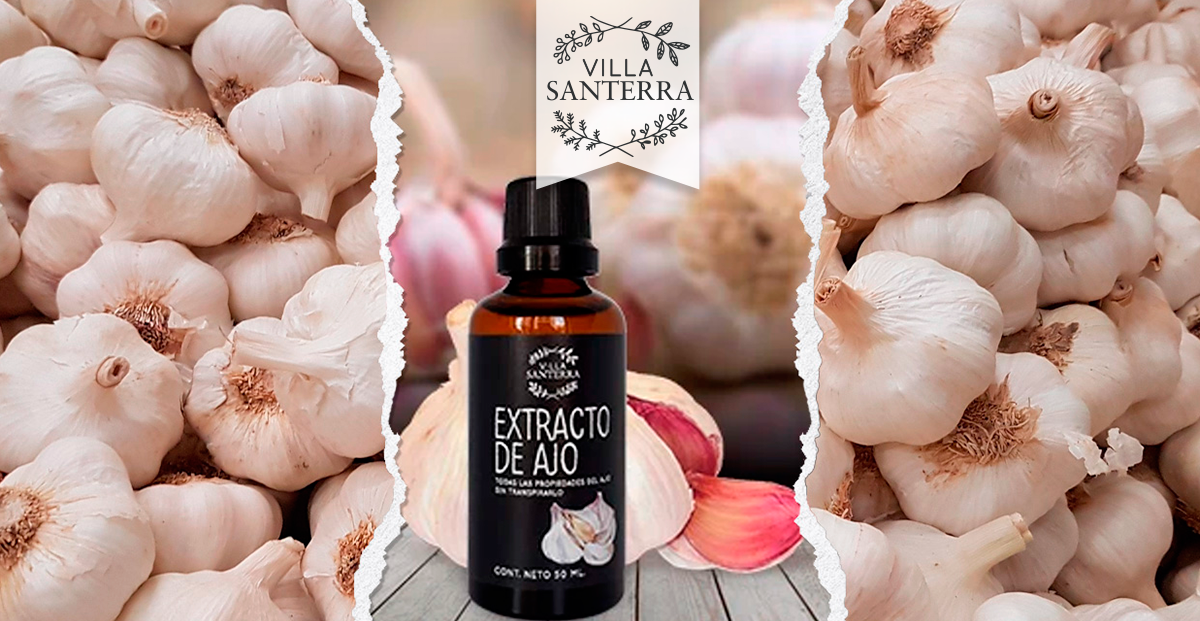 ¿Cómo tomar el extracto de ajo? Sublingual y oral