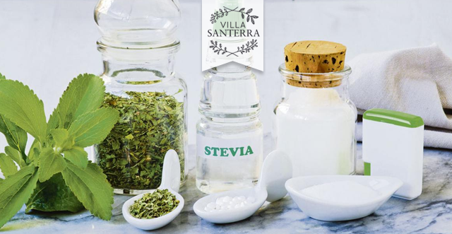 ¡Cuidado con los productos comerciales de Stevia!