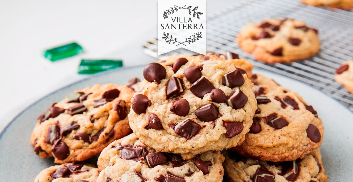 Galletas de Stevia con Chocolate