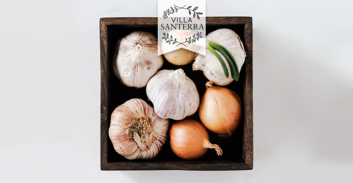 ¿Qué tipos de ajo hay?