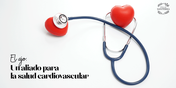 El ajo: Un aliado para la salud cardiovascular.