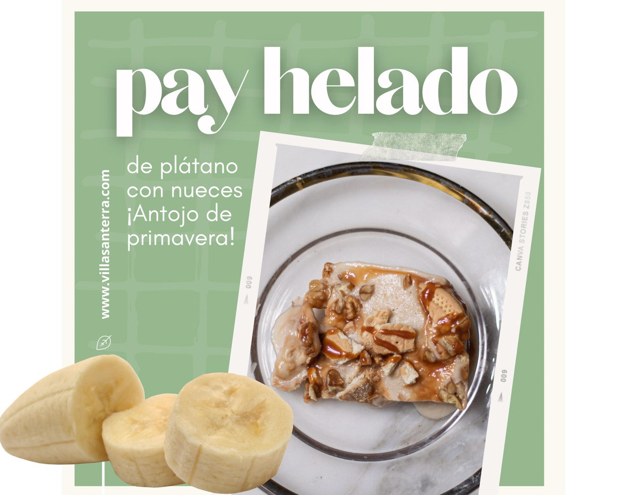 Stevia Líquida