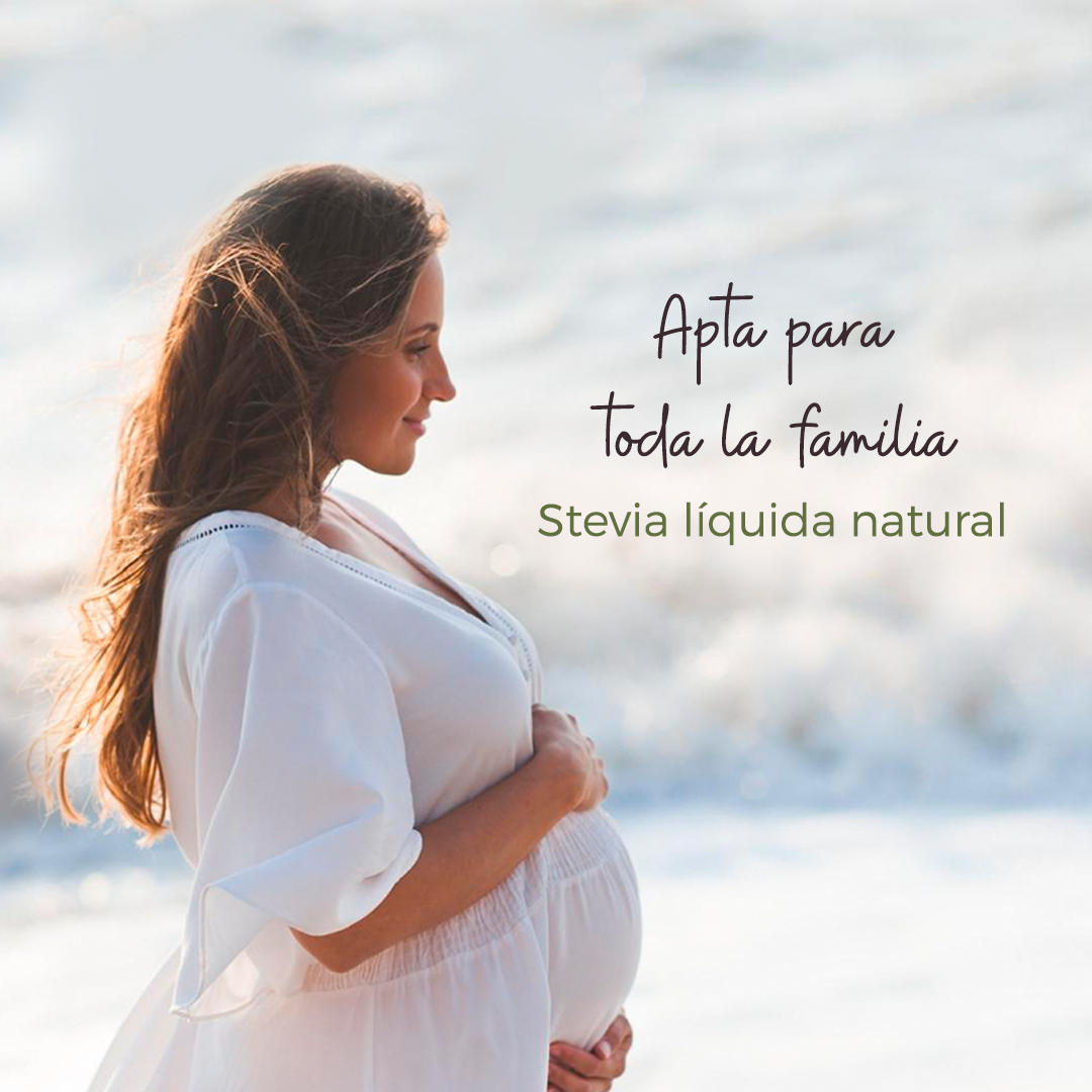 Stevia Liquida Villa Santerra